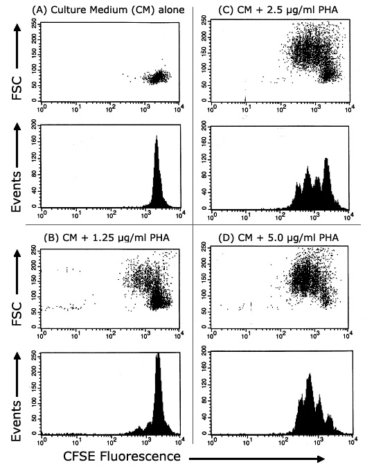 Immune Cell Induced Proliferation Assays